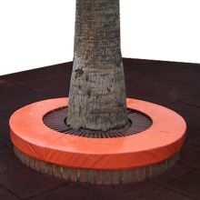 Special tree protection